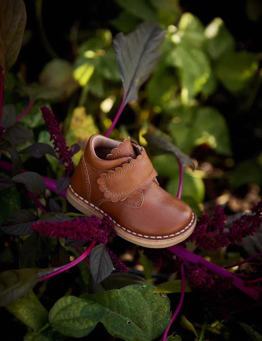 Scallop Velcro Boot - Cognac